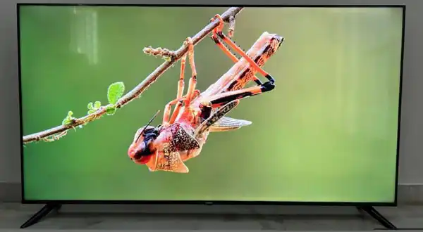 شکل2- تلویزیون ۱۰۰ اینچی شیائومی و صدایی فراگیر