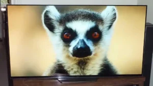 شکل1- بررسی تلویزیون OLED